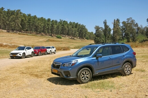 מבחן ג'יפונים